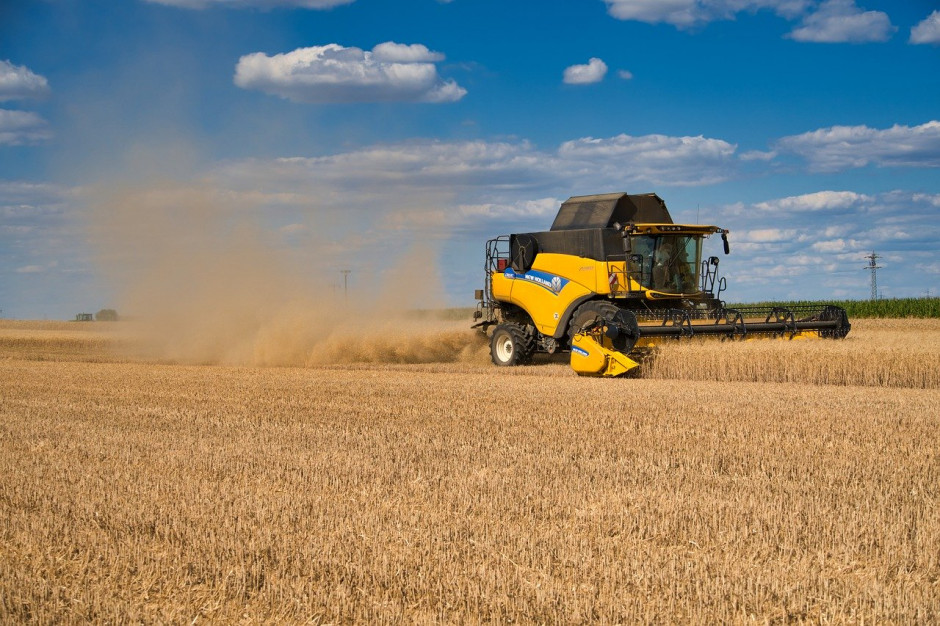Do 31 lipca rosyjscy rolnicy zebrali 47,6 mln ton pszenicy z 13,1 mln ha, przy średnim plonie 3,64 t / ha; Fot.pixabay.com