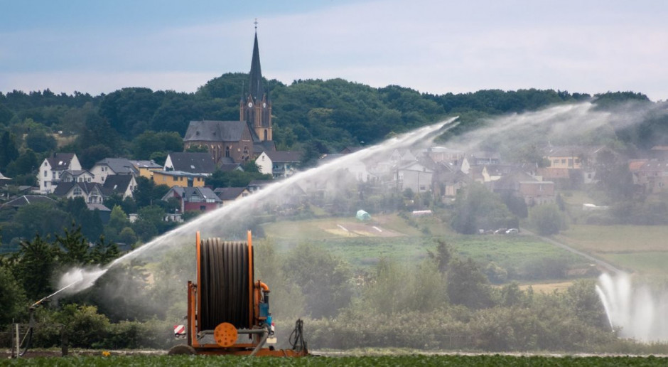 Zaoszczędzona deszczówka mogłaby nawadniać uprawy rolne, Foto: pixabay Program „Moja woda” nie dla rolników