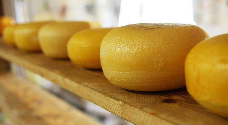 Na początku sierpnia cena sera Cheddar spadła do 294 euro / 100 kg i była o 2 proc. niższa od ceny z poprzedniego roku; Fot. pixabay.com KE: Stabilizacja cen standardowych produktów mlecznych w UE