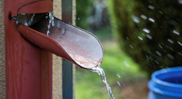Jak skutecznie oszczędzać wodę w gospodarstwie domowym?