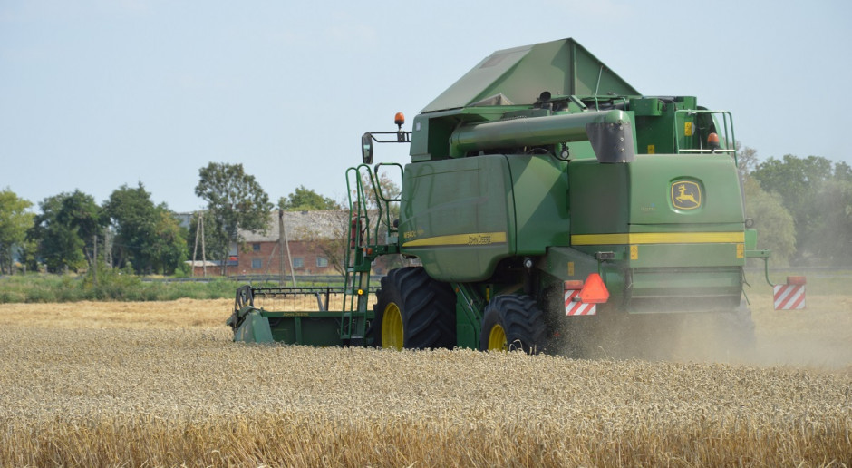 Coceral: Pierwsza prognoza zbiorów zbóż i rzepaku w 2021 r.