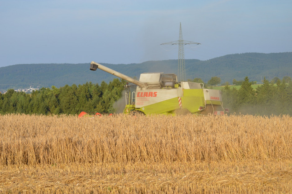 DRV: Tegoroczne zbiory zbóż na poziomie prawie 42,9 mln ton powinny być znacznie poniżej wyniku z poprzedniego roku, który wyniósł 44,3 mln ton; Fot.pixabay.com