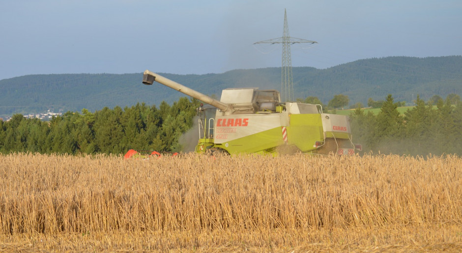 DRV: Tegoroczne zbiory zbóż na poziomie prawie 42,9 mln ton powinny być znacznie poniżej wyniku z poprzedniego roku, który wyniósł 44,3 mln ton; Fot.pixabay.com DRV: Zbiory niemieckie zbóż znacznie mniejsze niż przed rokiem