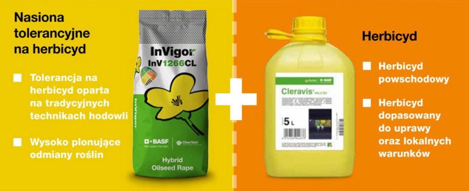 Na technologię Clearfield® składają się specjalne nasiona rzepaku CL oraz herbicyd Cleravis® 492,5 SC. Źródło: BASF