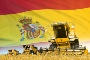 Rekordowe zbiory zbóż w Hiszpanii