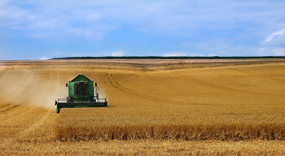 fot. pixabay Rosjanie chcą wwieźć do Polski 600 tys. ton pasz