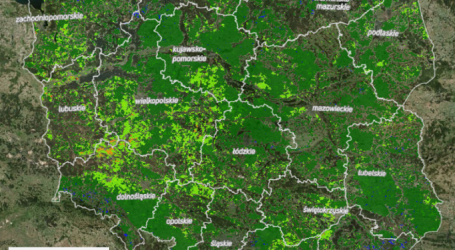 Fot. KOWR Geoserwis wsparciem w szacowaniu strat spowodowanych przez suszę
