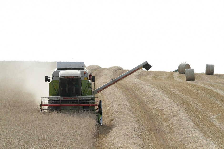 Niemieckie Stowarzyszenie Rolników (DBV) spodziewa się w tym roku zbiorów zbóż na poziomie 42,4 mln ton; Fot.pixabay.com