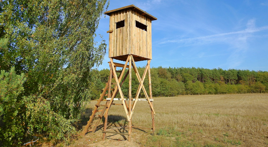 fot. erwin nowak z Pixabay W odszkodowaniach łowieckich jest tak, jak było