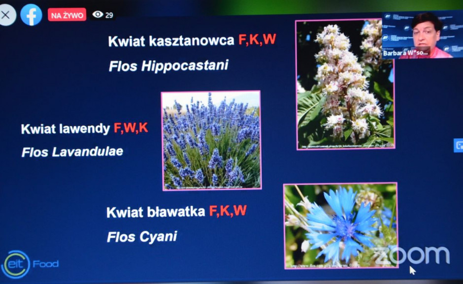 slajd z konferencji