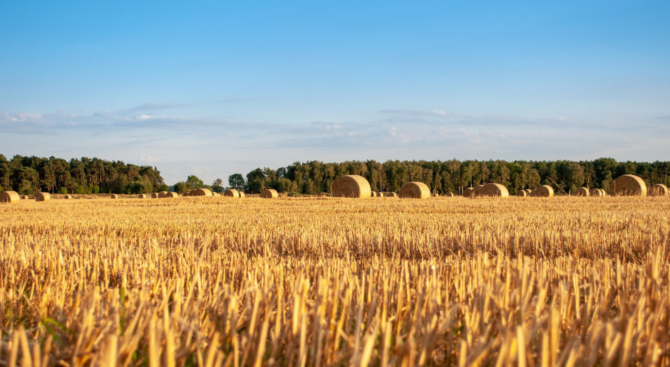 fot pixelRaw z Pixabay Rolnicy zarabiają 26,3 proc. mniej niż wynoszą przeciętne zarobki