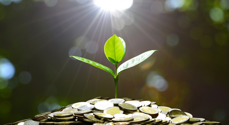 Fot. Shutterstock Woś: Chcę przejrzystości finansowania organizacji pozarządowych