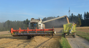 IGC: Rekordowa prognoza światowej produkcji zbóż