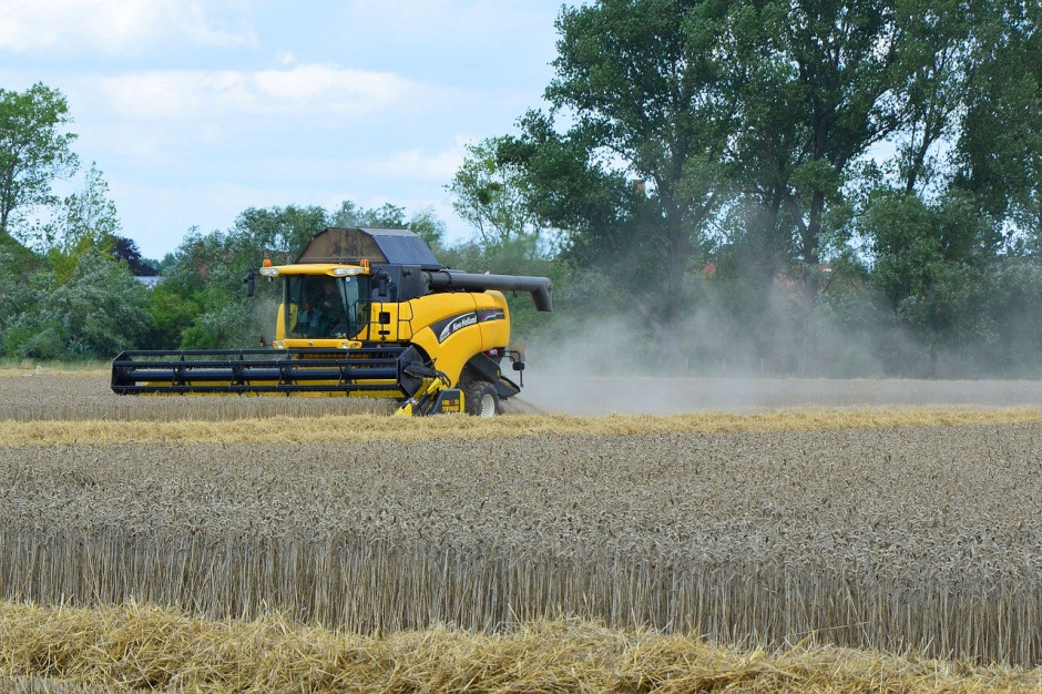 Niemieccy rolnicy w 2020 r. zebrali 42,9 mln ton zboża.; Fot.pixabay.com