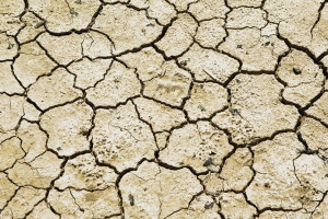 Teledetekcja w monitoringu suszy rolniczej – co nam to da?