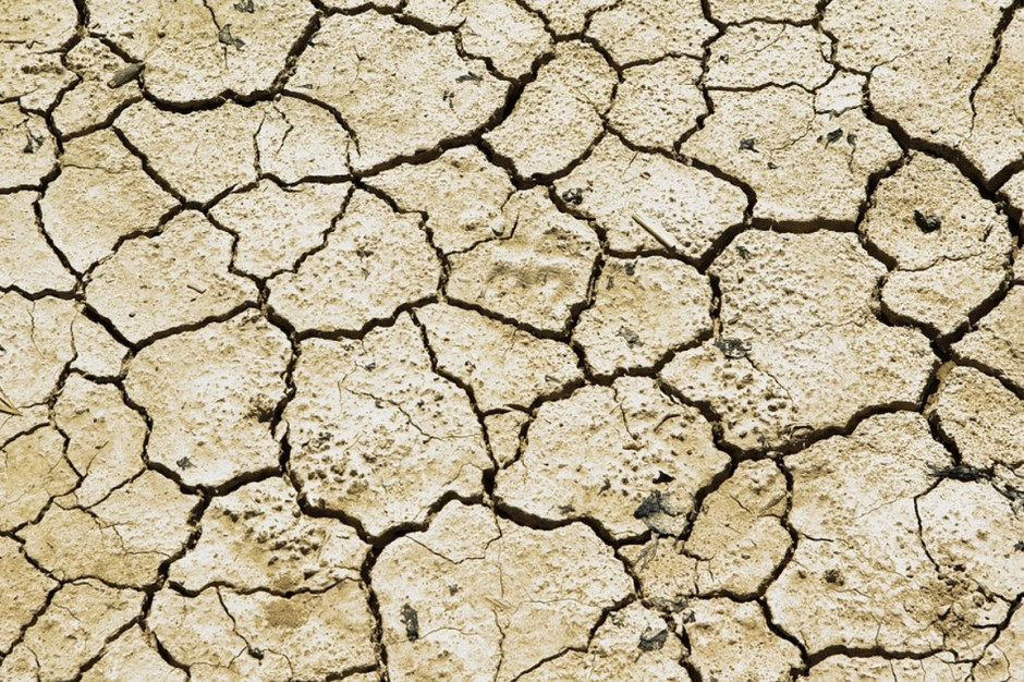 Jak racjonalnie korzystac z zasobów wody i przecuwdziałać suszy - zastanawiali się uczestnicy debaty na EKG, Foto: pixabay