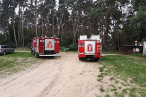 Wielkopolskie: Strażacy ratowali z wody konia, który wystraszył się sarny
