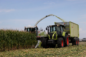 Narodowe Wyzwania w Rolnictwie: Technologia przygotowania kiszonki z kukurydzy w rolnictwie zrównoważonym