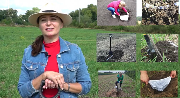 Test Farmera: zakop majtki i sprawdź stan gleby