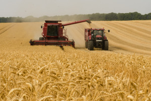 „Rozwój przedsiębiorczości – rozwój usług rolniczych” także dla poprzednio „Modernizowanych” z PROW