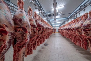 Malezja: Cztery osoby aresztowane po skandalu mięsnym