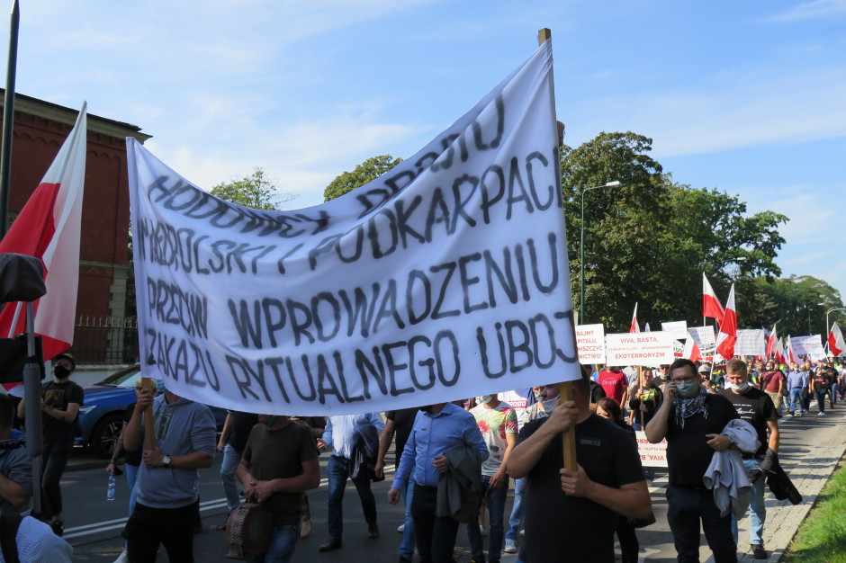Rolnicy rozgoryczeni „Piątką dla Zwierząt” protestowali w Warszawie, fot. AT