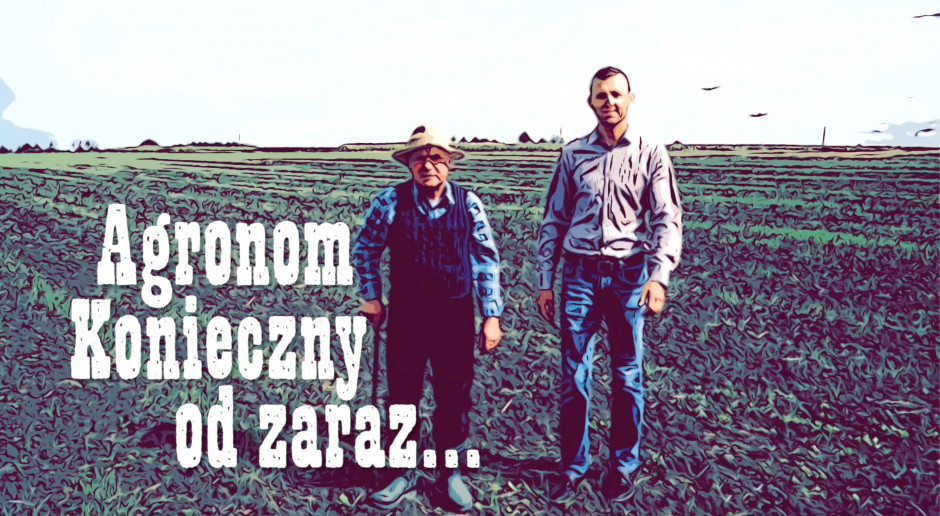 Cykl spotkań polowych Farmera "Agronom Konieczny od zaraz" Rzepak powschodził i co teraz?