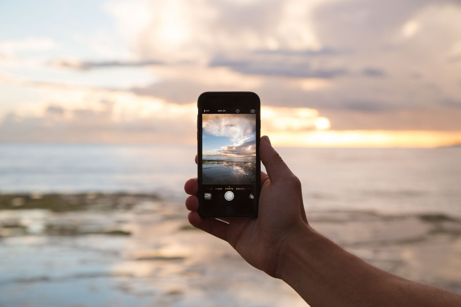 fot. Free-Photos z Pixabay
