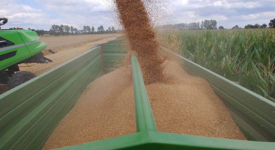 fot. farmer.pl W tym roku zbierzemy ponad 33 mln ton zbóż!