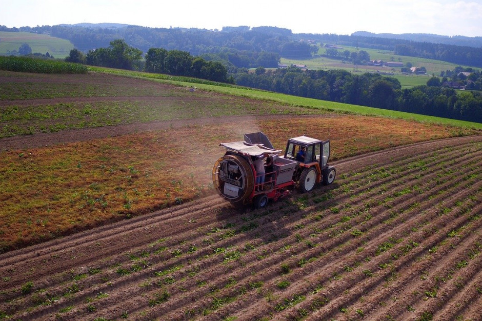 Zbiory ziemniaków dla pięciu najważniejszych krajów producenckich w UE: Niemiec, Francji, Wielkiej Brytanii, Belgii i Holandii  w 2020 r. szacuje się na 27,9 mln ton; Fot.pixabay.com