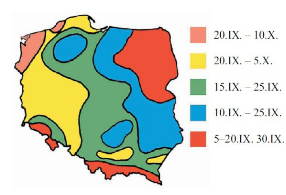 Optymalne terminy siewu pszenżyta. Źródło: IUNG PIB