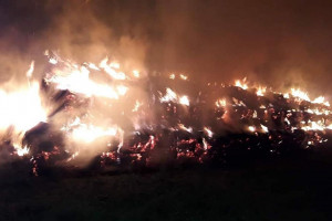 Wójt wyznaczył nagrodę za wskazanie podpalacza