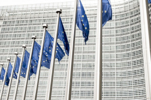 Parlamentarzyści UE krytykują proces zatwierdzania nowych odmian roślin GM