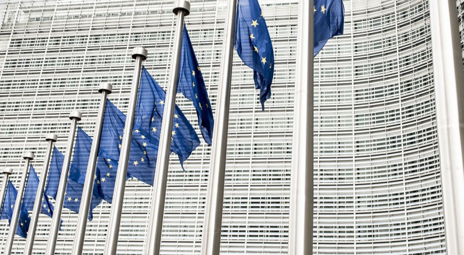 Parlament Europejski apeluje o zamrożenie licencji i przegląd unijnych przepisów dotyczących inżynierii genetycznej; Fot.pixabay.com Parlamentarzyści UE krytykują proces zatwierdzania nowych odmian roślin GM