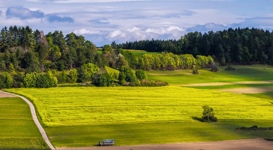fot. Couleur z Pixabay Czy mamy Ministerstwo Rolnictwa i Leśnictwa?
