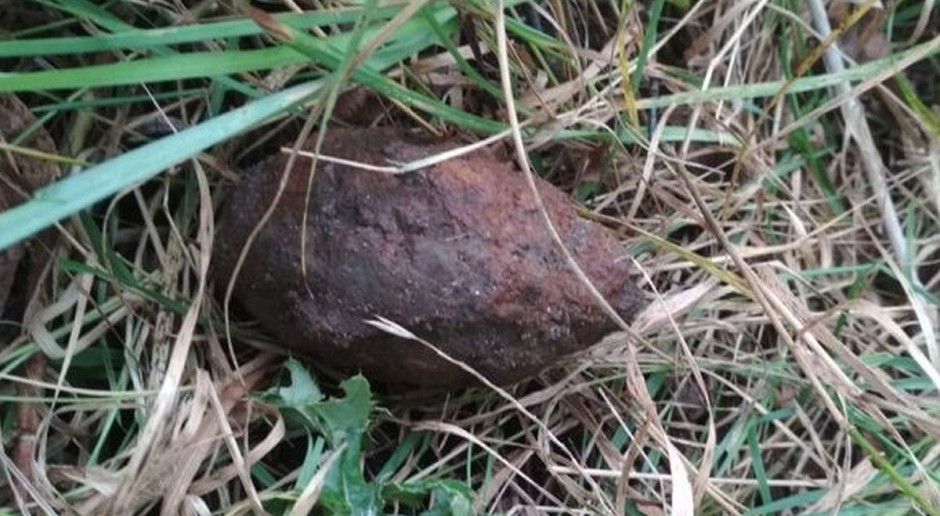 W redlinach ziemniaków znalazł sie równiez niewybuch, Foto: Policja Wykopki z niewybuchem