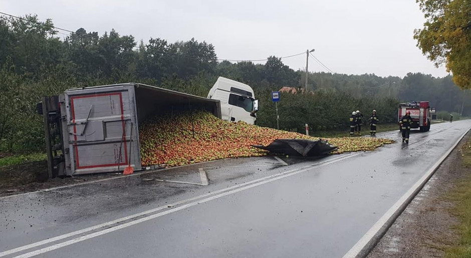 Owocewysypały sie z naczepy na drogę, Foto: OSP Wilków Przewróciła się ciężarówka z jabłkami