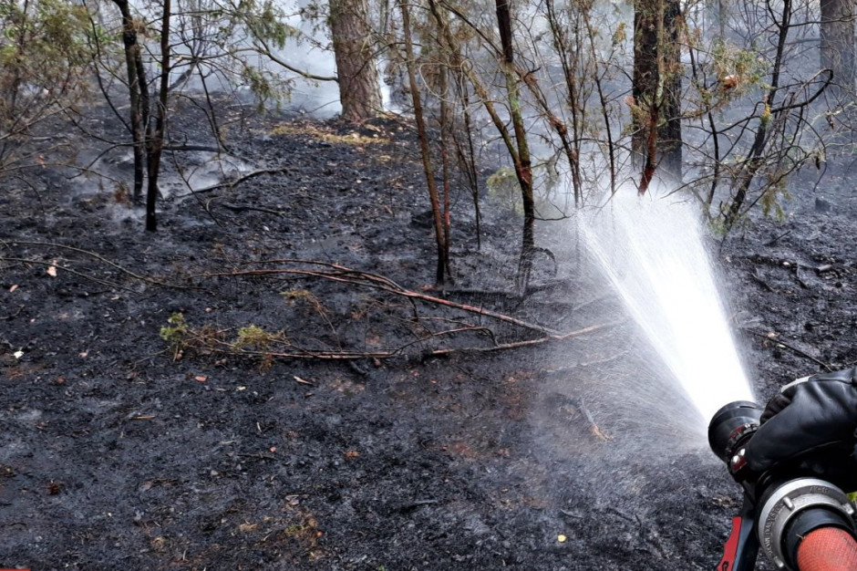 Lasy w tym roku paliły się ponad 6,3 tys. razy, Foto: Straż Pożarna