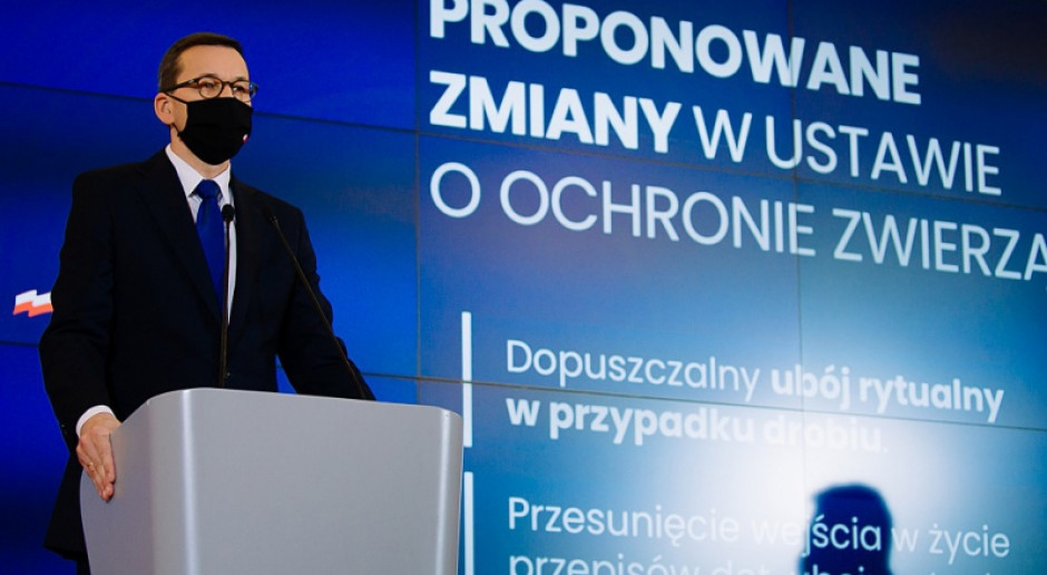 Fot. KPRM Premier i minister zapowiadają zmiany w noweli ustawy o ochronie zwierząt