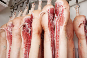 KE o spadku europejskiego eksportu wieprzowiny