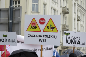 Rolnicy zapowiadają protest w Warszawie