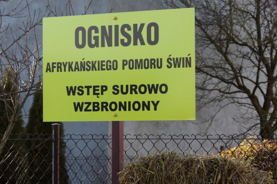 Ogniska ASF potwierdzono w województwie lubuskim, podkarpackim i warmińsko mazurskim Fot.PTWP