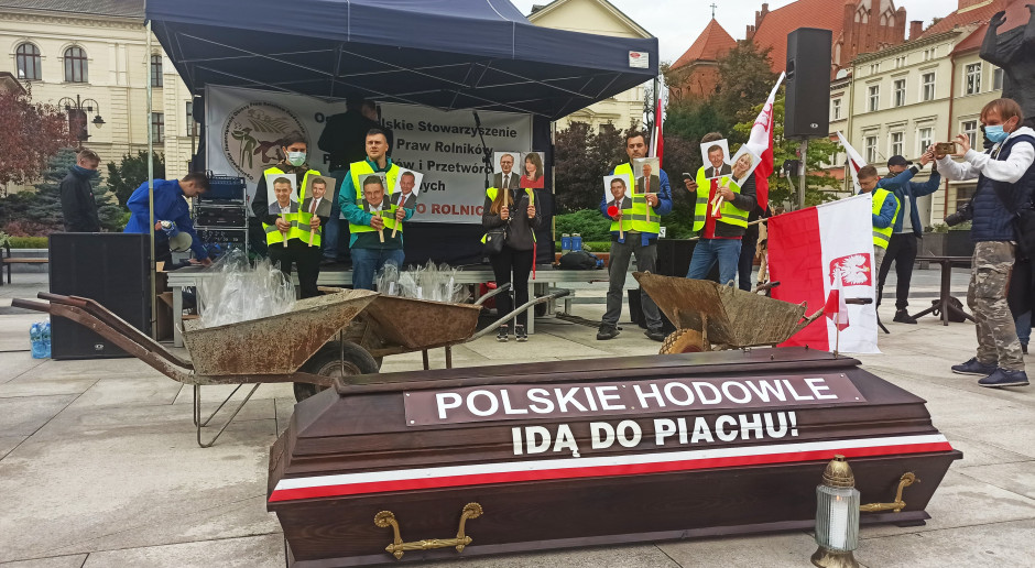 fot. Michał Nowacki Rolnik NIEprofesjonalny: Piątka dla zwierząt to pretekst, by wprowadzać kolejne zakazy