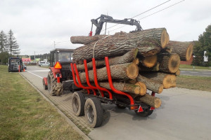 Transporty drewna pod lupą inspektorów