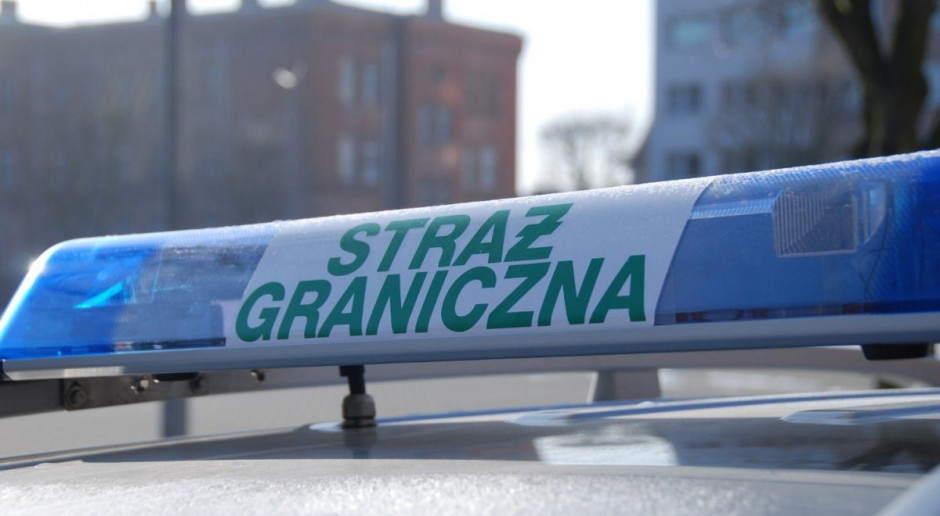 Pasażera na gapę zabrała Straż Graniczna, Foto: SG Nielegalny imigrant w naczepie z groszkiem