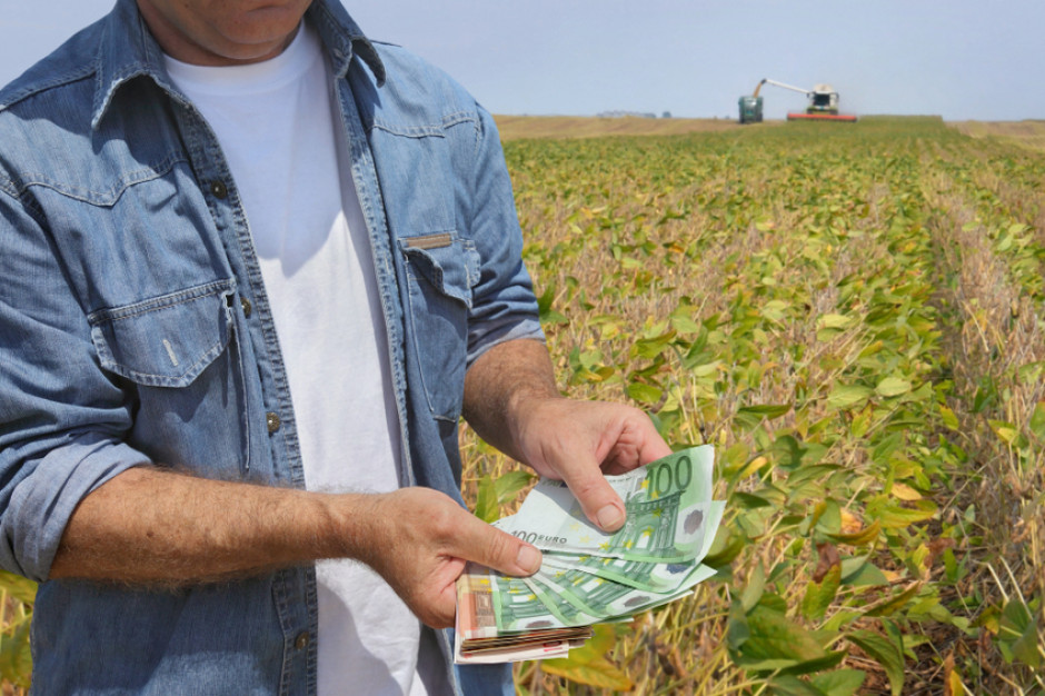 W 2020 r. średnie zarobki francuskiego rolnika (EBITDA) spadły o 6,7 proc.; Fot. Shutterstock