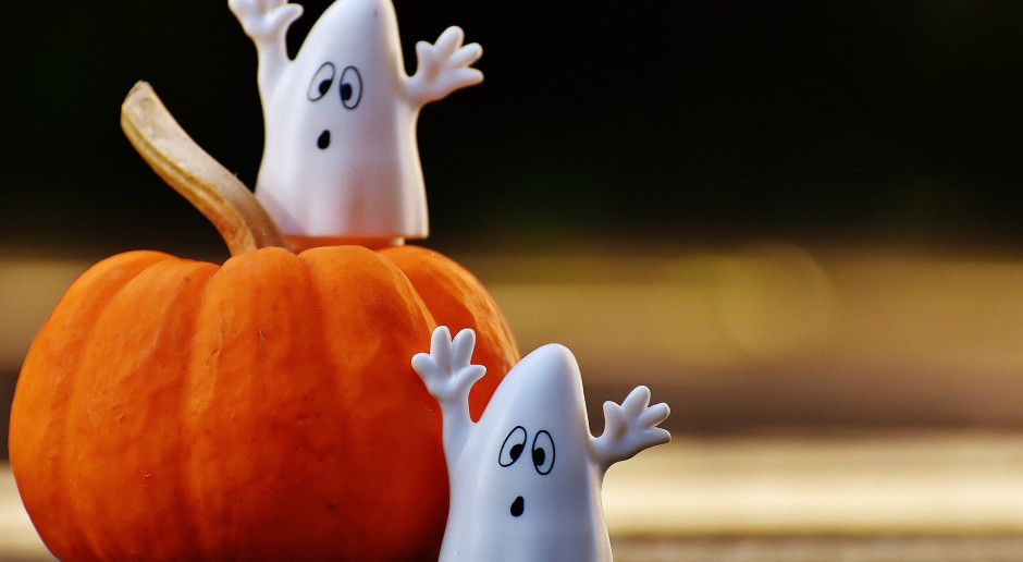 fot. pixabay Co możemy zrobić z dynią, kiedy już Halloween się skończy?