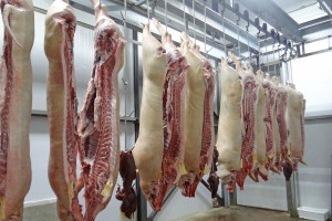Niemiecki zakład mięsny zamknięty z powodu koronawirusa