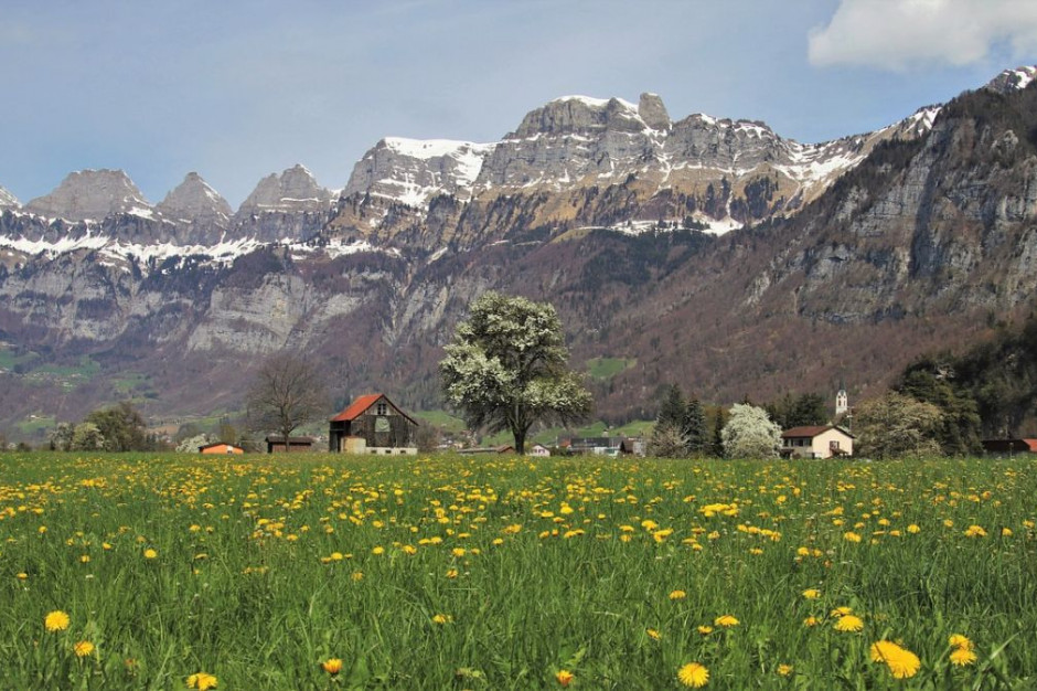 KE uważa, że Niemcy nie chronią należycie obszarów Natura 2000, Foto: pixabay