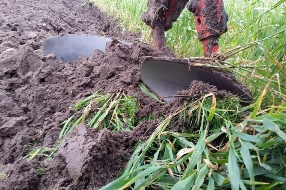 Przedpłużek aby spełniał swoje zadanie, musi pracować w ziemi na głębokości minimum 5 cm, fot.kh